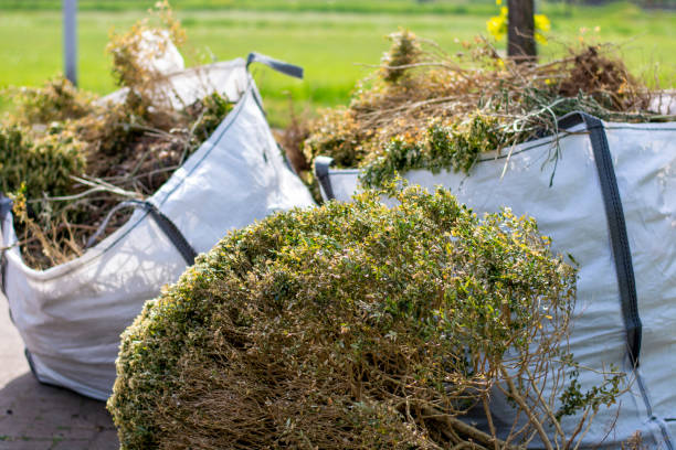 Best Yard Waste Removal  in Wyoming, IL